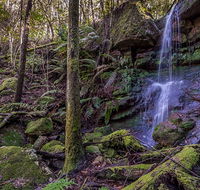 Coorabakh National Park - ACT Tourism