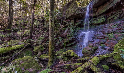Coorabakh National Park - ACT Tourism 0
