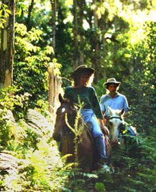 Chatham NSW ACT Tourism