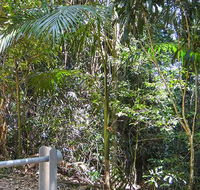Goorgana walking track - ACT Tourism