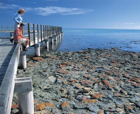 Hamelin Pool Stromatolites - ACT Tourism 3