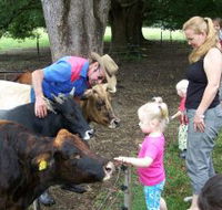 Crystal Creek Miniatures - ACT Tourism