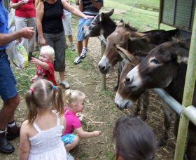 Crystal Creek Miniatures - ACT Tourism 1