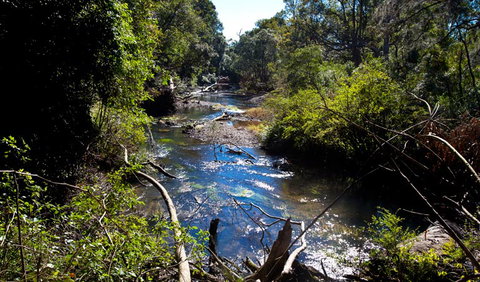 Coramba Nature Reserve - ACT Tourism 1