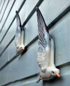 Kingstudio Gallery - ACT Tourism 5