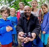 Wigay Aboriginal Culture Park - ACT Tourism