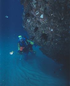 Scottish Prince Dive Site - ACT Tourism 1