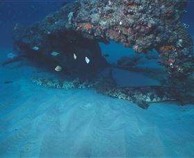 Scottish Prince Dive Site - ACT Tourism 3