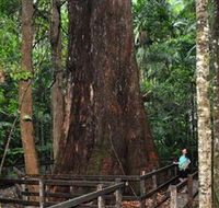 Bird Tree and Benaroon - ACT Tourism