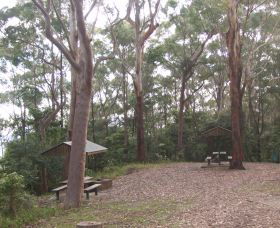 Orara East State Forest - ACT Tourism 2