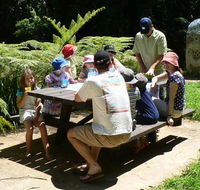 The Pines picnic area - ACT Tourism