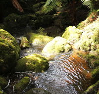 South East Forests National Park - ACT Tourism