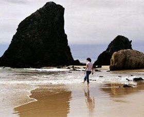 Glasshouse Rocks And Pillow Lava - ACT Tourism 1