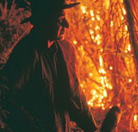The Shed Gallery - ACT Tourism
