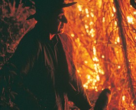 The Shed Gallery - ACT Tourism 0