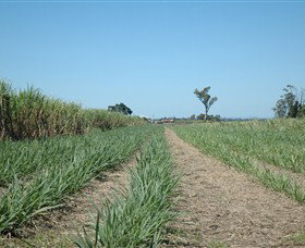 The Shed Gallery - ACT Tourism 1