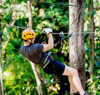 TreeTop Challenge Currumbin - ACT Tourism