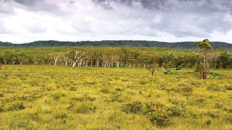 Minnie Water NSW ACT Tourism