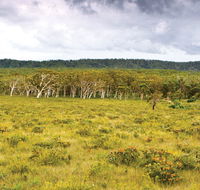 Yuraygir National Park - ACT Tourism