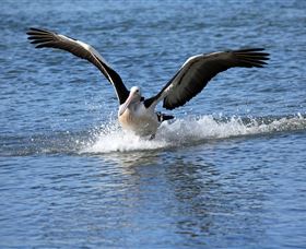 John Barton Photography - ACT Tourism 1