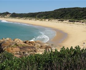 Cape Conran Nature Trail - ACT Tourism 1