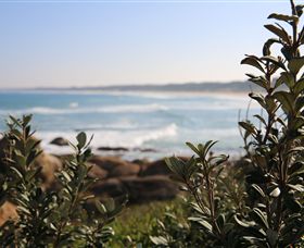 Cape Conran Nature Trail - ACT Tourism 0