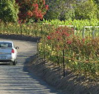Cassegrain Wines - ACT Tourism