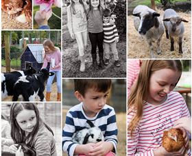 Roses Vineyard And Animal Farm - ACT Tourism 1