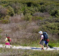 Yuraygir coastal walk - ACT Tourism