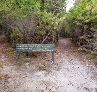 Angophora grove walking track - ACT Tourism