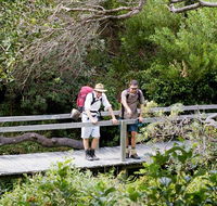 Wilsons Headland walking track - ACT Tourism