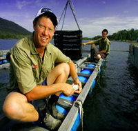 Armstrong Oysters - ACT Tourism