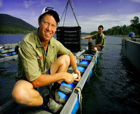 Armstrong Oysters - ACT Tourism 0