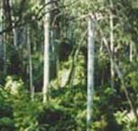 Lind National Park - ACT Tourism
