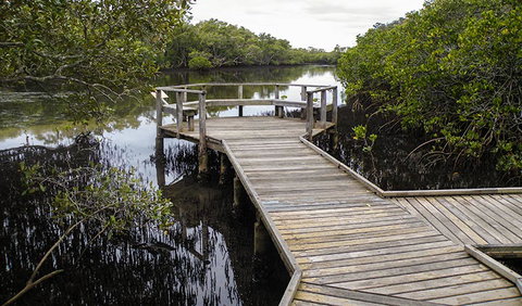 Walk On Water Walking Track - ACT Tourism 1