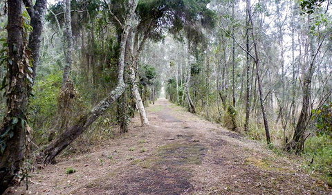 Walk On Water Walking Track - ACT Tourism 2