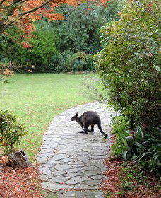 Narek Galleries - ACT Tourism 2