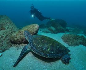 Cook Island Dive Site - ACT Tourism 2