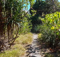 North Head walking track - ACT Tourism