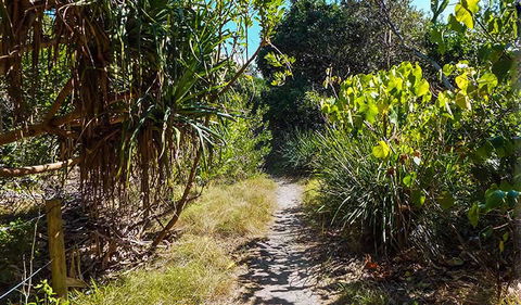 North Head Walking Track - ACT Tourism 0