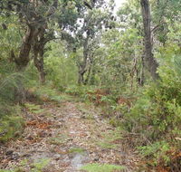Kinchela Trig Lookout walk - ACT Tourism