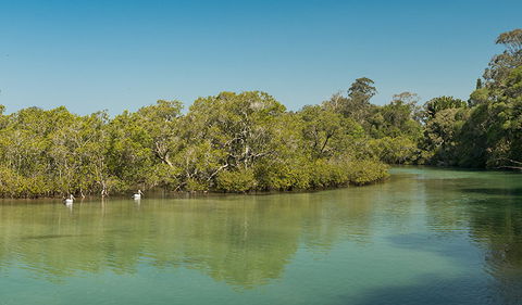 Tyagarah Nature Reserve - ACT Tourism 0