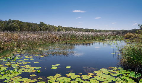 Tyagarah Nature Reserve - ACT Tourism 1