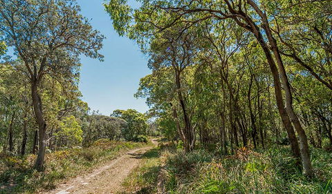 Tyagarah Nature Reserve - ACT Tourism 2