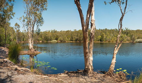 Tyagarah Nature Reserve - ACT Tourism 3