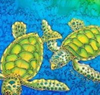 Sea Silks Gallery - ACT Tourism