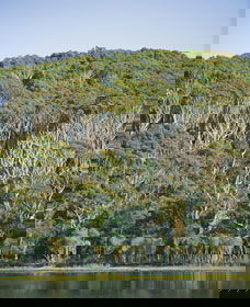 Ben Boyd National Park - ACT Tourism 5