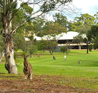 Pambula Merimbula Golf Club - ACT Tourism