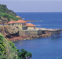 Merimbula Aquarium - ACT Tourism