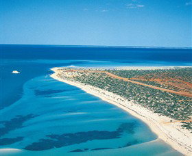 Monkey Mia WA ACT Tourism